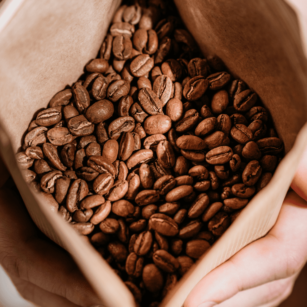 Nærbillede af kaffebønner i en papirpose holdt i hænder – The Brew Company