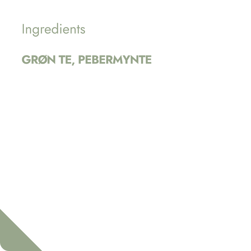 GREEN REFRESHMENT TEABREWER The Brew Company