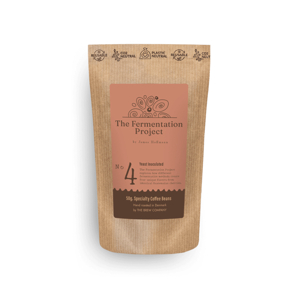 The Fermentation Project