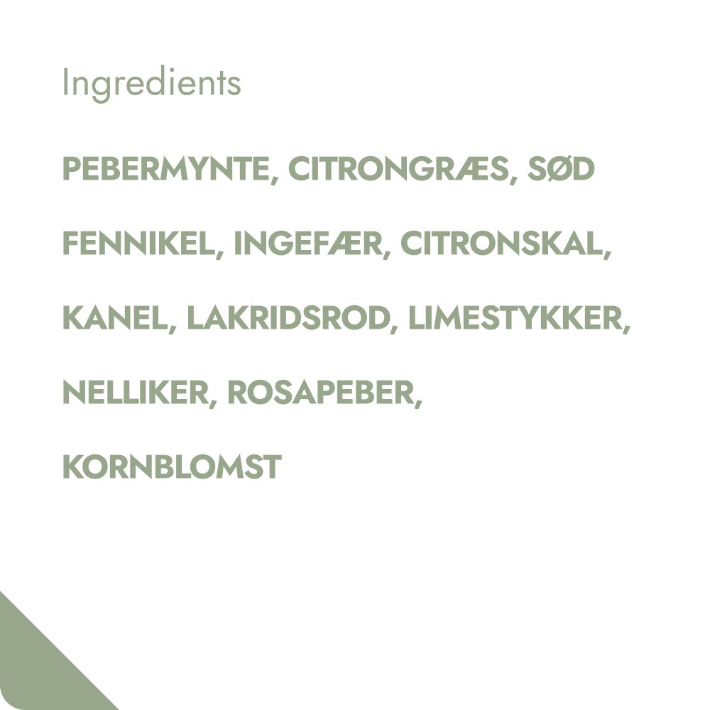 COOL MINT TEABREWER The Brew Company