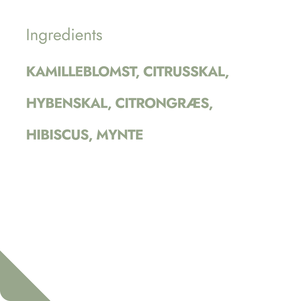 SWEET CHAMOMILE TEABREWER The Brew Company