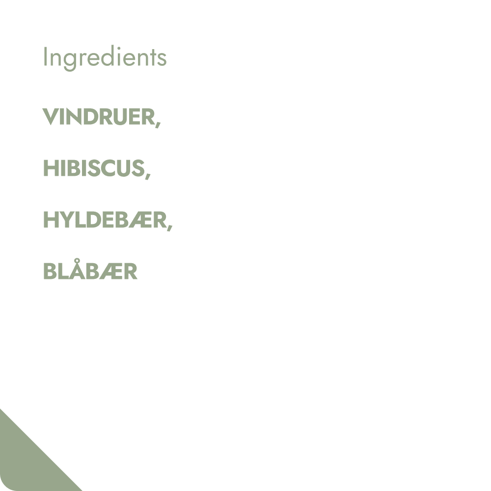 TASTY BERRY TEABREWER The Brew Company