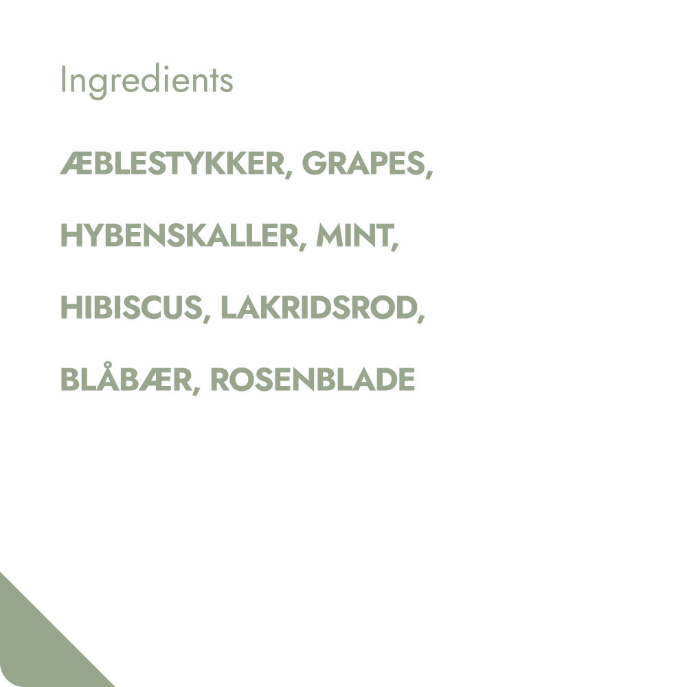 BLUEBERRY MINT TEABREWER The Brew Company