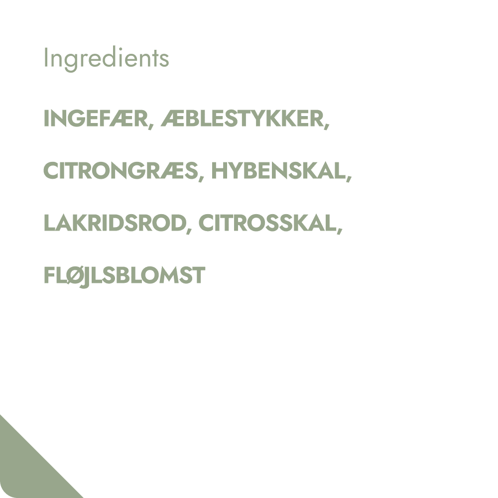 GINGER & LEMON TEABREWER The Brew Company