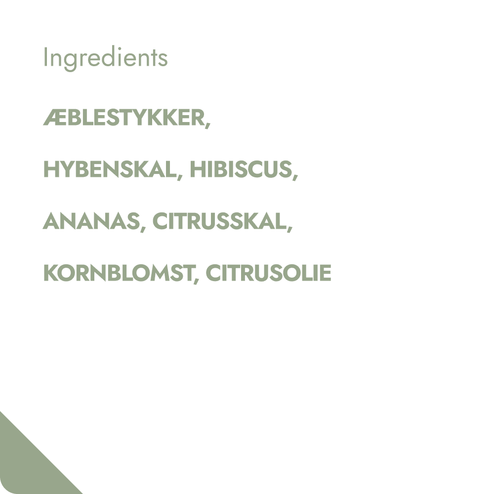 GRAPEFRUIT PUNCH TEABREWER The Brew Company