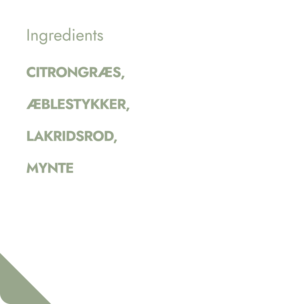 REVITALISING TREAT TEABREWER The Brew Company