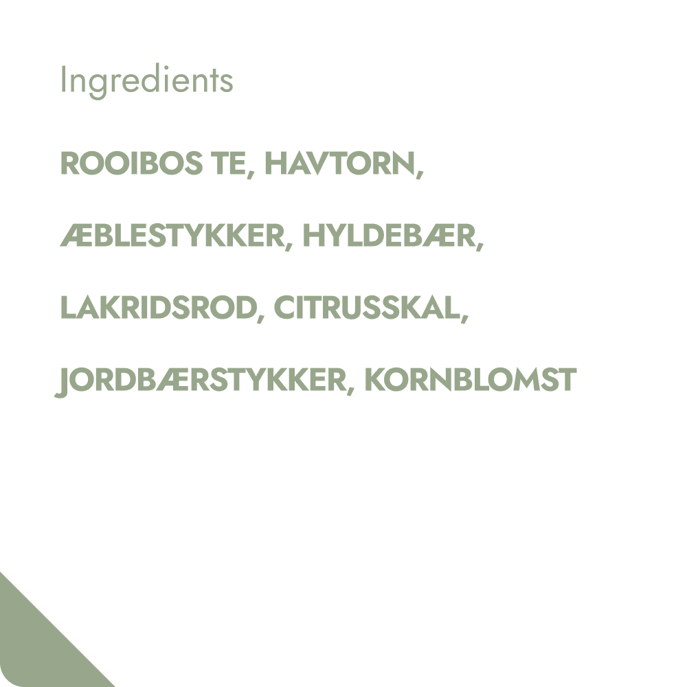 SWEET SEA BUCKTHORN TEABREWER The Brew Company