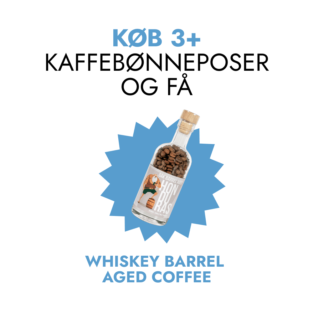 Brasilien kaffebønner– specialkaffebønner – 333 g – The Brew Company